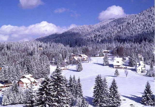 Poiana Brasov, Aparthotel 609,Alpin Exteriér fotografie